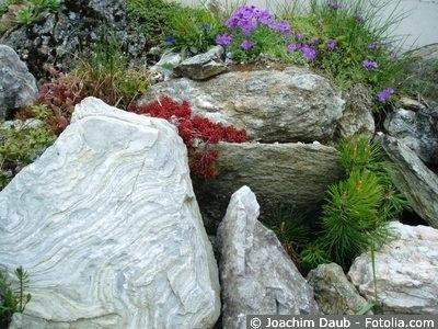 alpiner-steingarten-anlegen-72_2 Alpiner steingarten anlegen