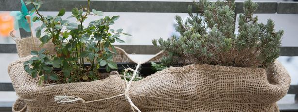 Garten Höher Als Terrasse Garten Höher Als Terrasse