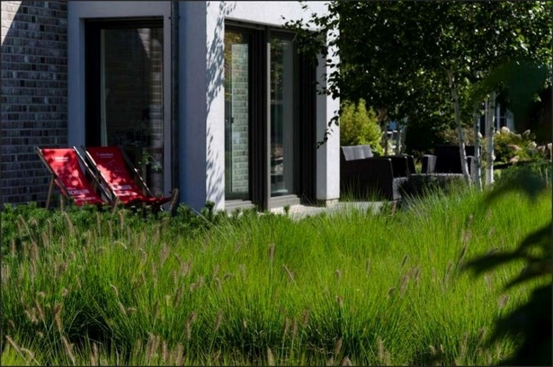 Garten reihenhaus sichtschutz