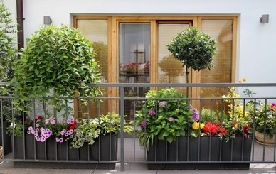 pflanzen-fur-terrassengestaltung-76_11 Pflanzen für terrassengestaltung