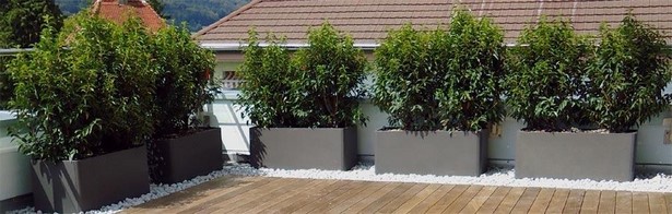 pflanzen-fur-terrassengestaltung-76_14 Pflanzen für terrassengestaltung