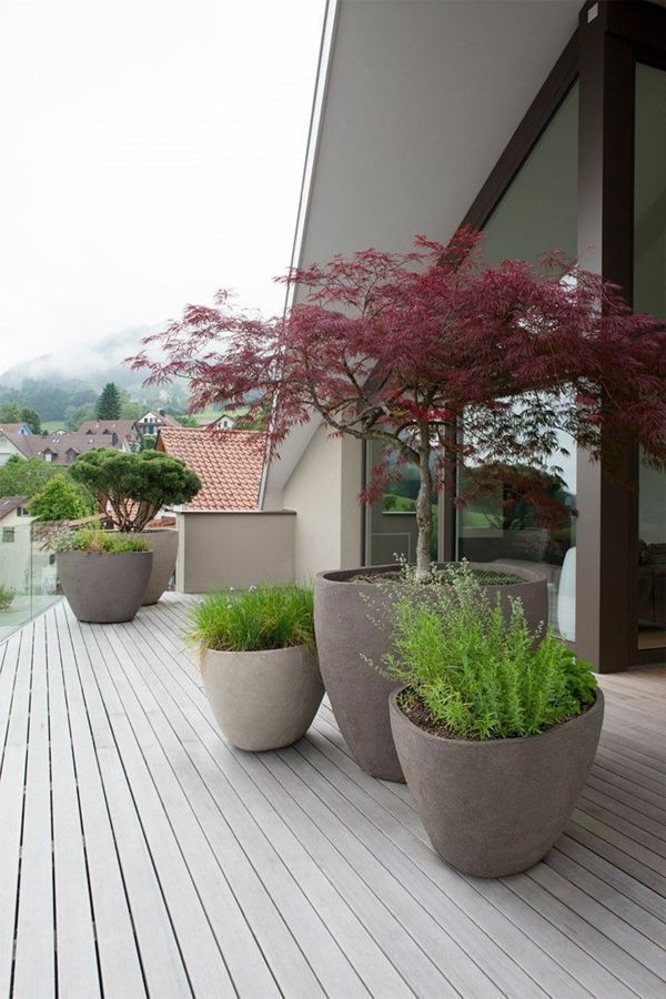 pflanzen-fur-terrassengestaltung-76_6 Pflanzen für terrassengestaltung