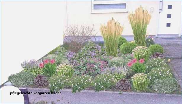 pflegeleichter-vorgarten-pflanzen-50_3 Pflegeleichter vorgarten pflanzen