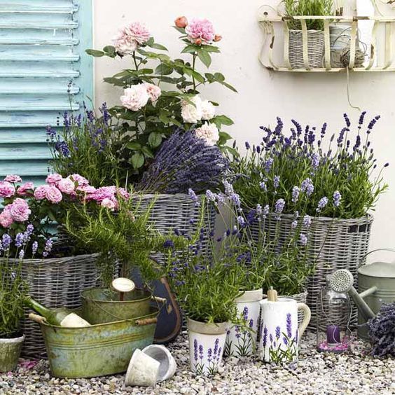 Schöne terrassenbepflanzung