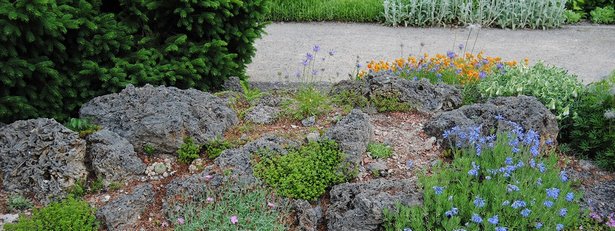 steingarten-mit-pflanzen-24 Steingarten mit pflanzen