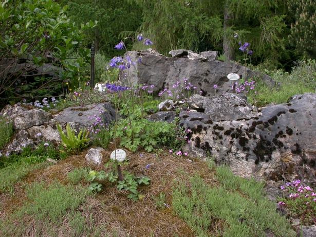 steingarten-ohne-pflanzen-18_13 Steingarten ohne pflanzen