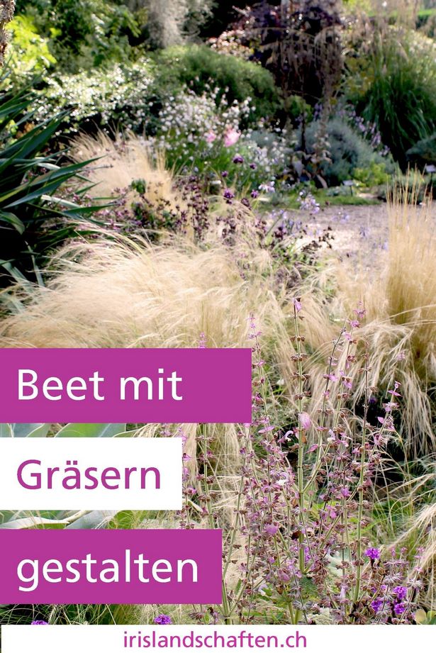 vorgarten-mit-graser-gestalten-21_8 Vorgarten mit gräser gestalten