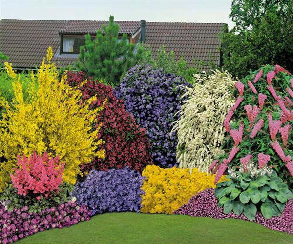 blumenlandschaft-ideen-14_15 Blumenlandschaft Ideen