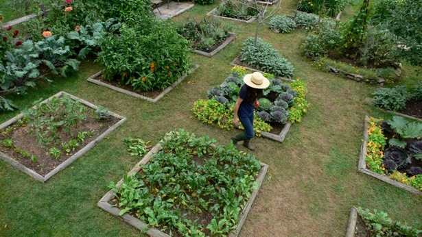 gemusegarten-89 Gemüsegarten