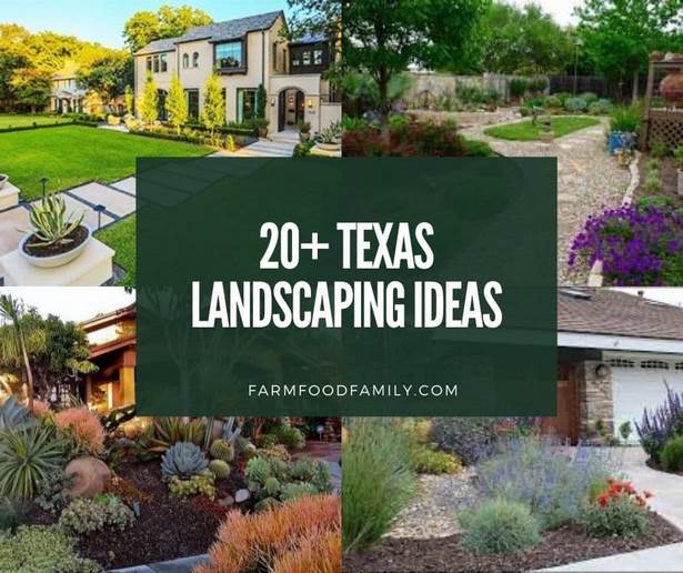 hinterhof-landschaftsbau-ideen-in-texas-34 Hinterhof Landschaftsbau Ideen in Texas