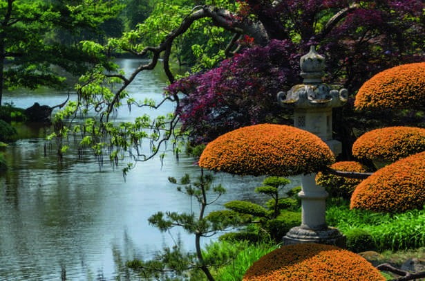 japanischer-garten-38_4 Japanischer Garten