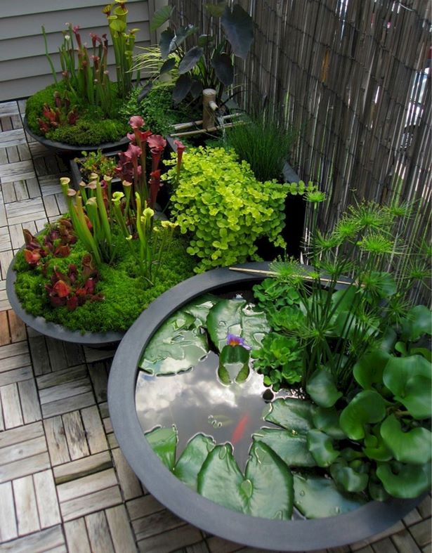 kreative-gartenideen-fur-kleine-raume-77_16 Kreative Gartenideen für kleine Räume