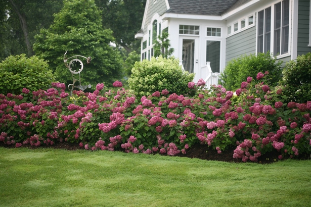 landscaping-ideas-shrubs-78_13 Landschaftsbau Ideen Sträucher