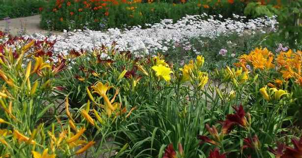 mehrjahrige-blumen-landschaftsbau-ideen-05_4 Mehrjährige Blumen Landschaftsbau Ideen