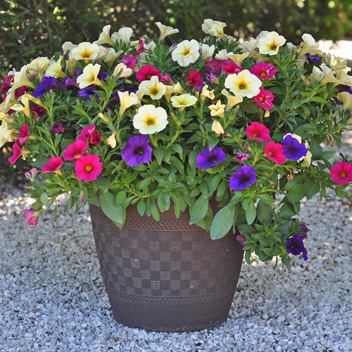 outdoor-blumenarrangements-ideen-02_7 Outdoor Blumenarrangements Ideen