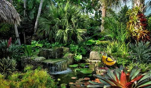 tropical-flower-bed-ideas-84_9 Tropische Blumenbeet Ideen