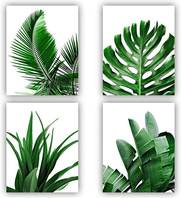 tropische-pflanzen-35_3 Tropische Pflanzen