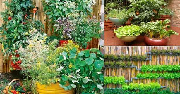 veggie-garden-design-ideas-09_14 Veggie Garten Design-Ideen