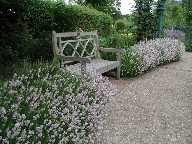 beetgestaltung-mit-lavendel-09_14 Beetgestaltung mit lavendel