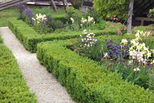 Kleine hecke vorgarten