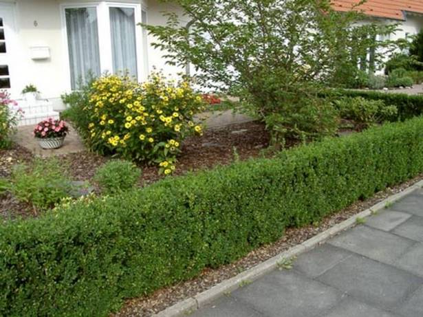 vorgarten-hecke-41_8 Vorgarten hecke