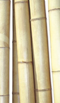 bambus-deko-garten-20_8 Bambus deko garten