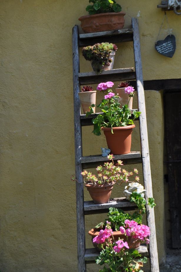 leiter gartendeko dekoideen frühling