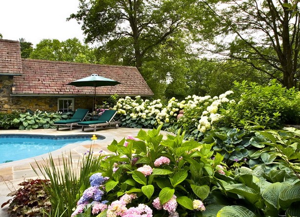 Pool bepflanzung