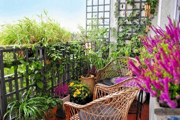 balkon-pflanzen-ideen-04_2 Balkon Pflanzen Ideen