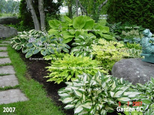 hosta-garten-design-ideen-98_16 Hosta Garten-design-Ideen