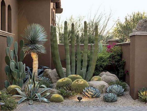kaktus-garten-ideen-landschaft-82_3 Kaktus, Garten Ideen, Landschaft
