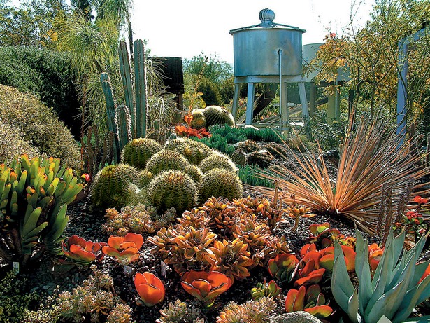 kaktus-garten-ideen-landschaft-82_6 Kaktus, Garten Ideen, Landschaft