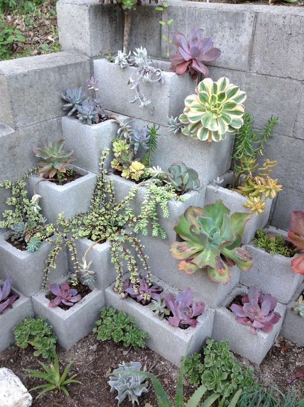 kaktus-garten-ideen-30_3 Kaktus-Garten Ideen