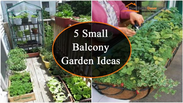 kleine-balkon-garten-ideen-44_12 Kleine Balkon-Garten-Ideen