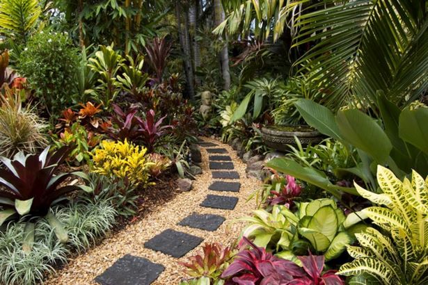 kleine-tropische-garten-ideen-61_7 Kleine tropische Garten Ideen