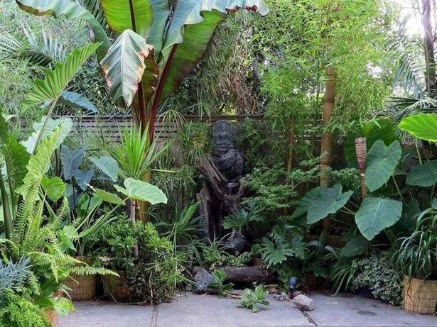 kleine-tropische-garten-ideen-61_8 Kleine tropische Garten Ideen