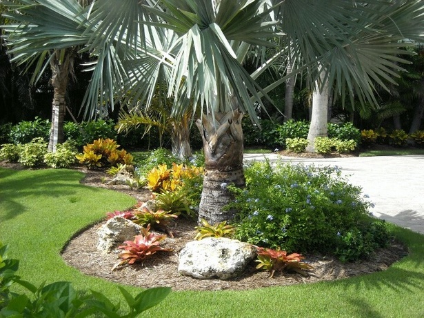 palme-landschaftsbau-ideen-46_3 Palme Landschaftsbau Ideen