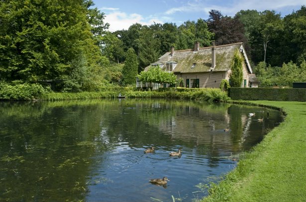 einen-teich-bauen-39_4 Einen Teich bauen