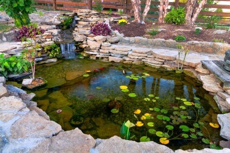 einen-teich-bauen-39_7 Einen Teich bauen