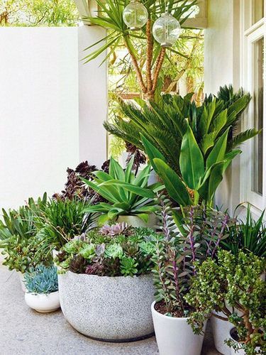 pflanzendesigns-fur-die-terrasse-49_13 Pflanzendesigns für die Terrasse