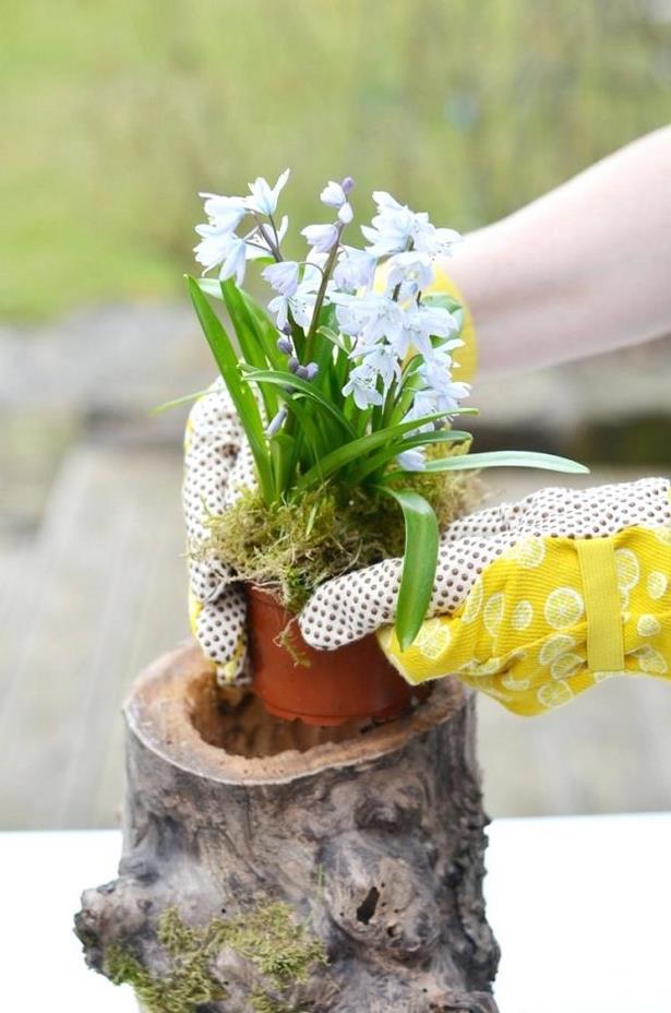 Baumstumpf Im Garten Verschönern Garten Ideen