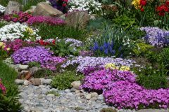 blumenbeet-formen-47 Blumenbeet formen