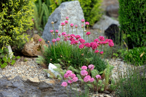 blumenbeet-formen-47_10 Blumenbeet formen