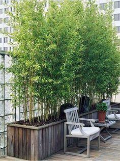 garten-gestalten-mit-bambus-45_14 Garten gestalten mit bambus