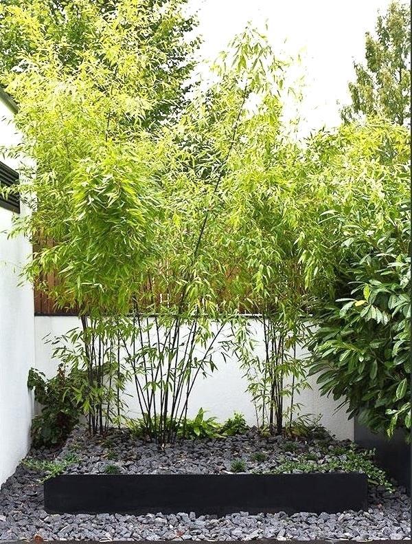 garten-gestalten-mit-bambus-45_8 Garten gestalten mit bambus