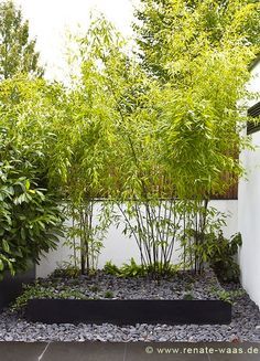 garten-mit-bambus-gestalten-22_4 Garten mit bambus gestalten