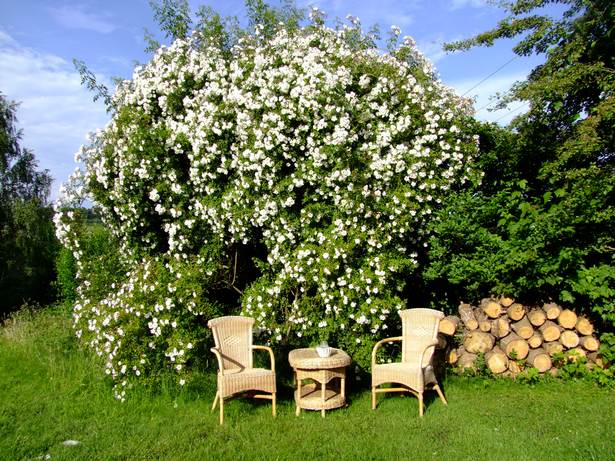 gemutliche-sitzecke-im-garten-62_18 Gemütliche sitzecke im garten