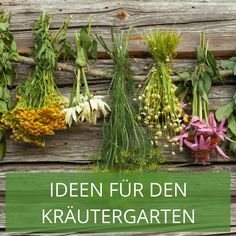 ideen-krautergarten-81_5 Ideen kräutergarten