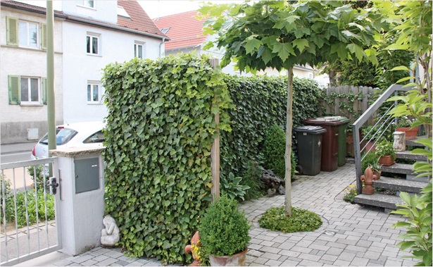 terrassenabgrenzung-mit-pflanzen-50_11 Terrassenabgrenzung mit pflanzen