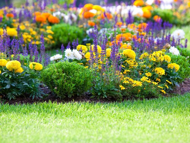 blumen-fur-den-garten-29_10 Blumen für den Garten